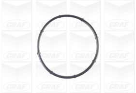 GRAFPA1125
